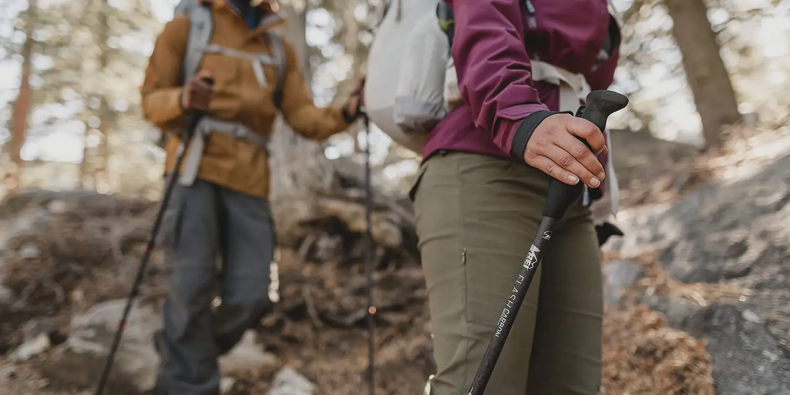 Hikers using hiking poles for balance.